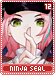 ninjaseal12