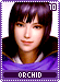 orchid10