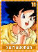 saiyawoman11