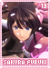 sakurafubuki13