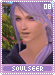 soulseer08